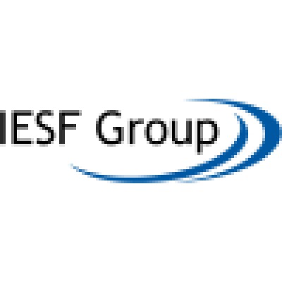IT Recruitment Partner and Executive Search Partner