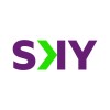 Head of PMO & Strategic Program Manager