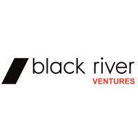 Venture Partner