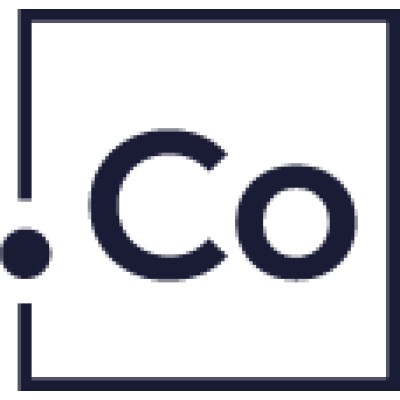 Investment Analyst & CDO (Corporate Development Officer)