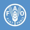 Consultor Private Sector Partnerships