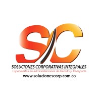 Ingeniero de Proyectos - Líder de procesos y proyectos.