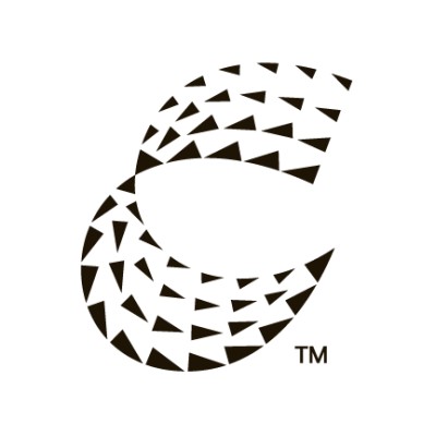 Senior Business Analyst