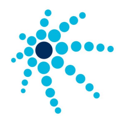 VP, IT Project Coordinator