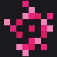 WordPress Developer
