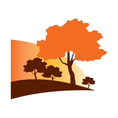 Accounts Payable Clerk