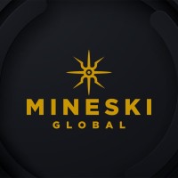 Management Information Systems Manager