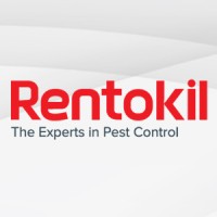 Sr. Content Writer/Team Lead/Social Media Lead
