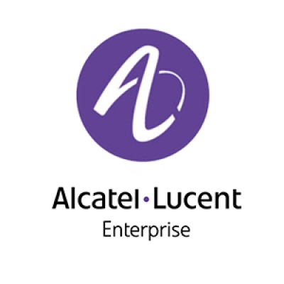 IT Project Leader
