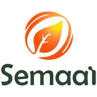 Junior UI/UX Designer