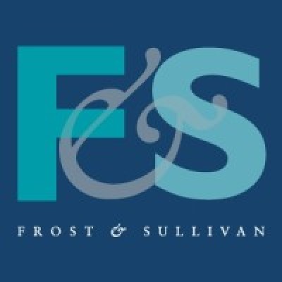 Consulting Analyst