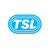 Executive Vice President Media Strategy