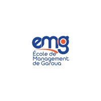 Directeur de la stratégie et du développement