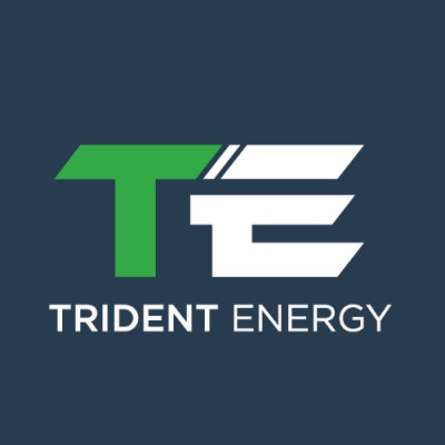 Project Engineer