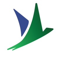 Lead Economist