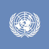 Consultor de gestión de datos