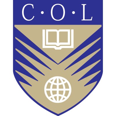 CONSULTANT, WEB RESEARCH