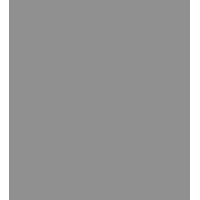 Influencer Marketing Lead