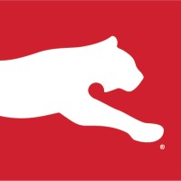 Project Coordinator