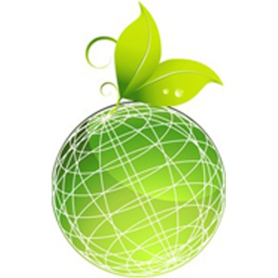 Director Comercial