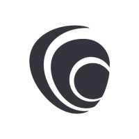 Audit Associate