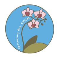 Board Member