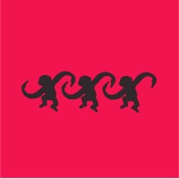 Design Strategist