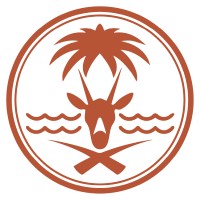 Project Engineer