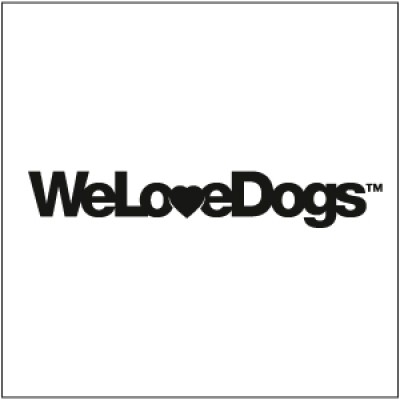 Partner / Art Director
