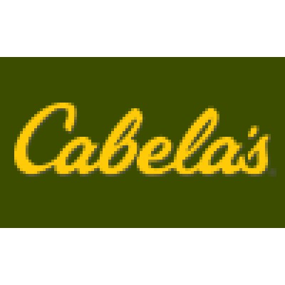 Senior Project Manager