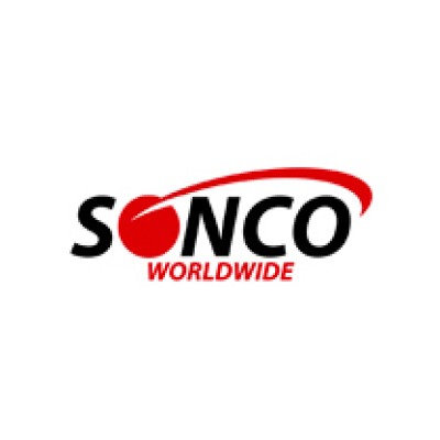 Information Technology Manager