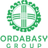 Senior Business Financial Analyst