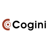 Software Developer