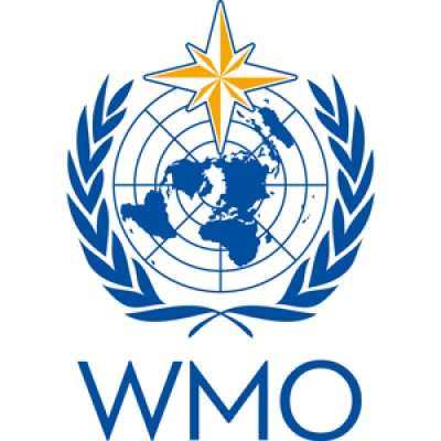 WMO Innovation / Senior Design Consultant