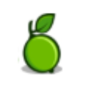 Full-Stack Developer