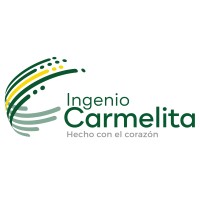 Senior project manager