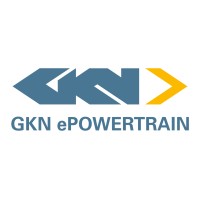 Software Leader