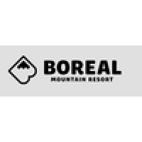 Marketing Assistant