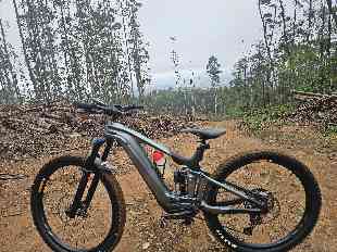 Owner
