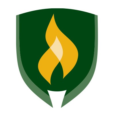 Adjunct Professor
