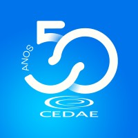 Senior Information Technology Analyst