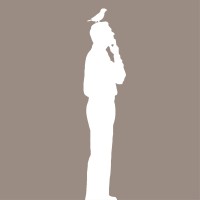 Head Of Digital