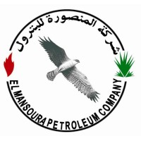 Petroleum Engineer