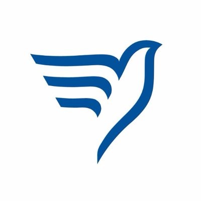 Financial Security Advisor