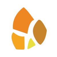 Software Developer