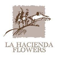 Sales Leader | International Accounts Executive