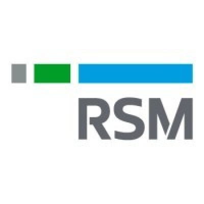 Audit Assistant