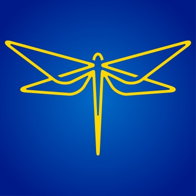 Sales Director / Network Business Manager