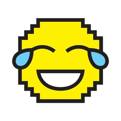 Account Manager/Project Manager