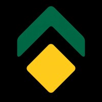 Go-to-market strategist
